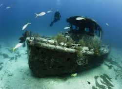 Some of the popular activities here include scuba Some of the popular activities here include scuba diving and snorkeling as there are many reefs and shipwrecks in the area, such as the wreck of the S